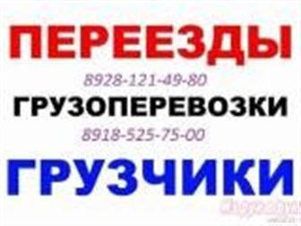   ,      , 8928-121-49-80, 8918-525-75-00 33004116  --
