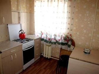 ���������� ���������� ������ ����� ���� 1-��, �����, Kpac�oap�e�c�a�/������ 33700984 � �������-��-����