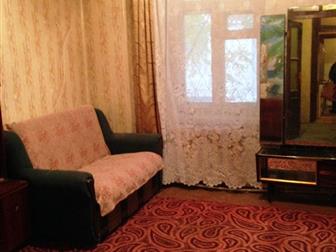 ������ ���� ������ ����� 2� ��������, ����������������, �����, 33787975 � �������-��-����