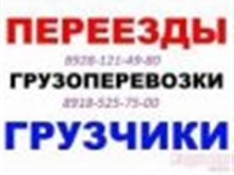    ,       , 8928-121-49-80, 8918- 525-75-00, 33795295  --
