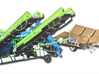  foto     33914625  --