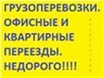   ,    , ,    ,, 89281214980, 89185257500 33989859  --