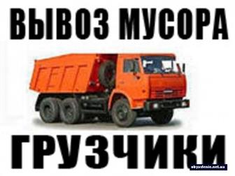     , , , ,  34248172  --
