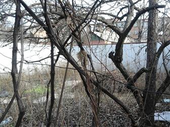 ����������� ����������  ���� ���, ����������, ����������� 34305612 � �������-��-����