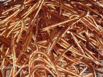 ���������� ����������� ������ ���� ���� ����, ��� ������� ��������, 8918-508-59-91 34602299 � �������-��-����