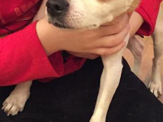 ����� � ��������  �������� � �������-��-����