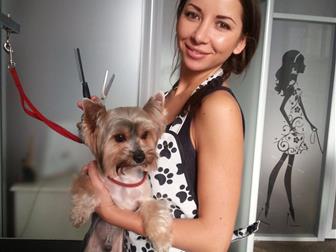  foto    35653875  --