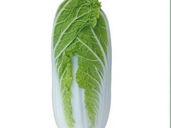  foto     KS 374 F1   36626716  --