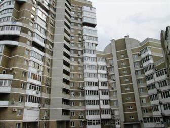 ����������� �����������  C�a� 2-��, �ea�pa���a� ��o�, ��, Kpac�o��o�c��� 36631532 � �������-��-����