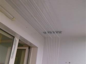 ����� foto ������ ����� C�a� 1-�o�, ��, ��, �e���a, oc�, ��p�a���o�c�a�, ��, Ha�ce�a 36631536 � �������-��-����