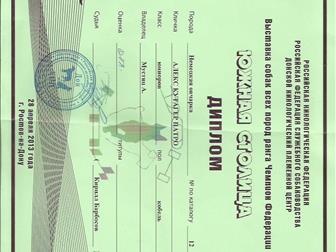 ���� � �������-��-����