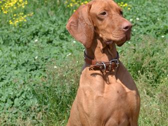 ����� � �������� ���������� ����� �������� � �������-��-����