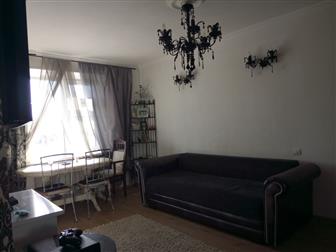  ,  3-    59 , , ,   ,   , 
       --