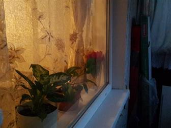      ,    ,     4-  ,    ,     ,     --