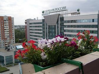    4-        14-   2012       ,  --