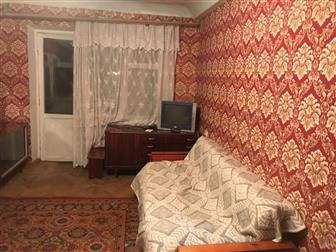    59/44/6,  5/5- ,  /,   ,    : , ,   --