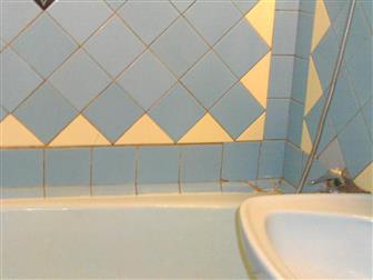 ���������� ����: ����� ����������
���������� �����: 54913902
���� 2-��������� �������� � ������ ��������� �����, ������� ����������, � ����������� ������� � ���� � �������-��-����