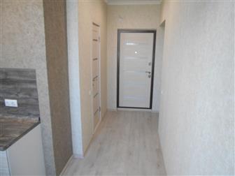   , / / 21,         , -  ,  --