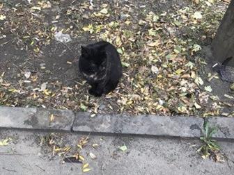     ,  ,    ,       ,  --