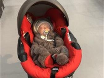  31 stokke: /  --