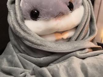 ??   ??   ?    ,   ,      !!!   ,  --