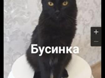             ,    9 ,   ,     ,     