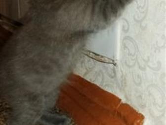  ,  ,      ,  27 ,  