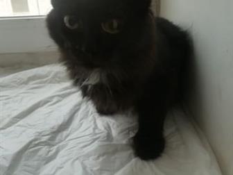  , 3 ,     ! ,    !          