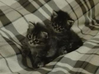  ,  6 ,      :     ,     ,     ,  