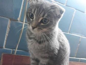 !!   , ,  , ,,,,  ,  3-4,     , ,   ,,  