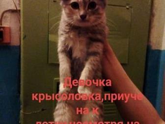  ,     2 ,         (  ),     ,  
