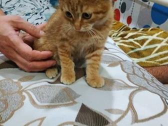     ,   7 ,    ,   ,   ,   ,     !  