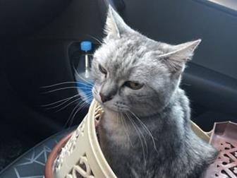   ,  9 ,  !!!! ,  ,      ,       - ,     