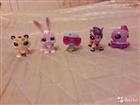 Littlest pet shop