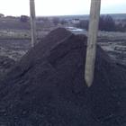 ����� ���������� ����������� ��������� ��������