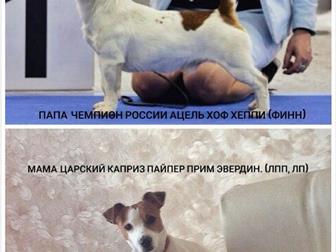         ,  18,  01,  2018 ,  ,   , ,    -