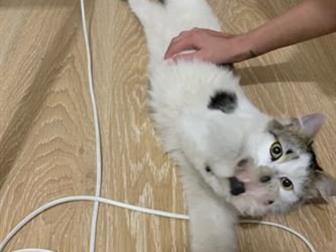  - ,   , ,   ,   ,    !  5 , , ,       -