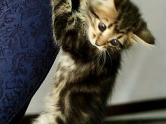        ,   2 ,      ,    ,      !  -