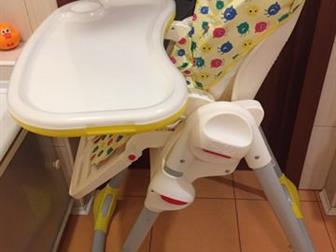      hicco Polly ,    ( , ) ,     ,     ,    -