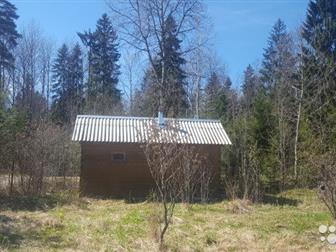 ������� 12 ����� � ��� ������������, �/� ������� �������, ���������� �����,  �� ������� ������ ���, ����, ������ ����� � ���,  ��������, ������ ��� 70 ��, �,  ��������� � �����-����������