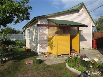 ��������� ������ ����, ��������� �������, ����������, 300 ������ �� ���������� ��������������� �� ������, ��: 27������� ����, �?: 36��� �������: ����������� �������, � �����-����������