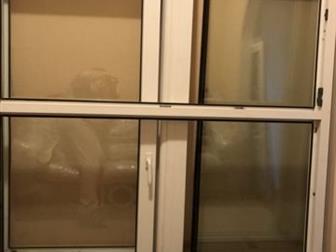      REHAU ,4  ,  60 , , 2   , 2        -