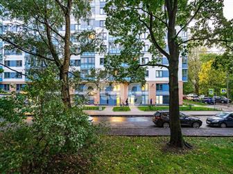 ������������� �������� � ���������� ������,  
�������� � ������ � ���������� - �����, ����, ����� ���� ��� ��������,  
200 ������ �� ����� ��������,  
7 ����� ������ � �����-����������