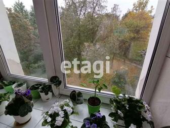 ������: ������ ������, �������, ��������� �����, �������� �����, �������� ������� � ���� ��������, � ������ ������� ��������������,  ������������� �����, � �������� � �����-����������