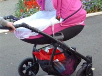  Tutis Zippy 2  1,      ,        ,   360    
