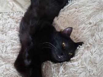   ,  !!!    ,  ! ,    !    ,    )   