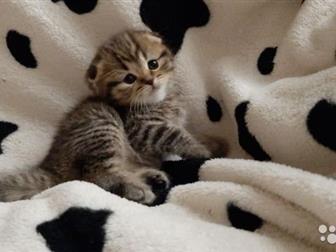    , ,    ,  