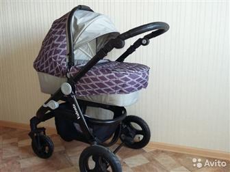    BABYHIT VALENTE, : VIOLET GREY:    ,  \ -6, , -2,     ,  