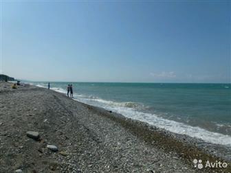  : 556145 -    ,    (  8 )   12    ,   ,   (),  