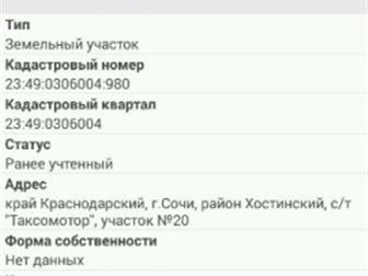  : 559337 -    ,     ,   ,     2      